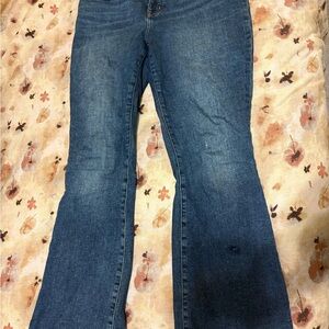 Madewell Curvy Skinny Flare Jean